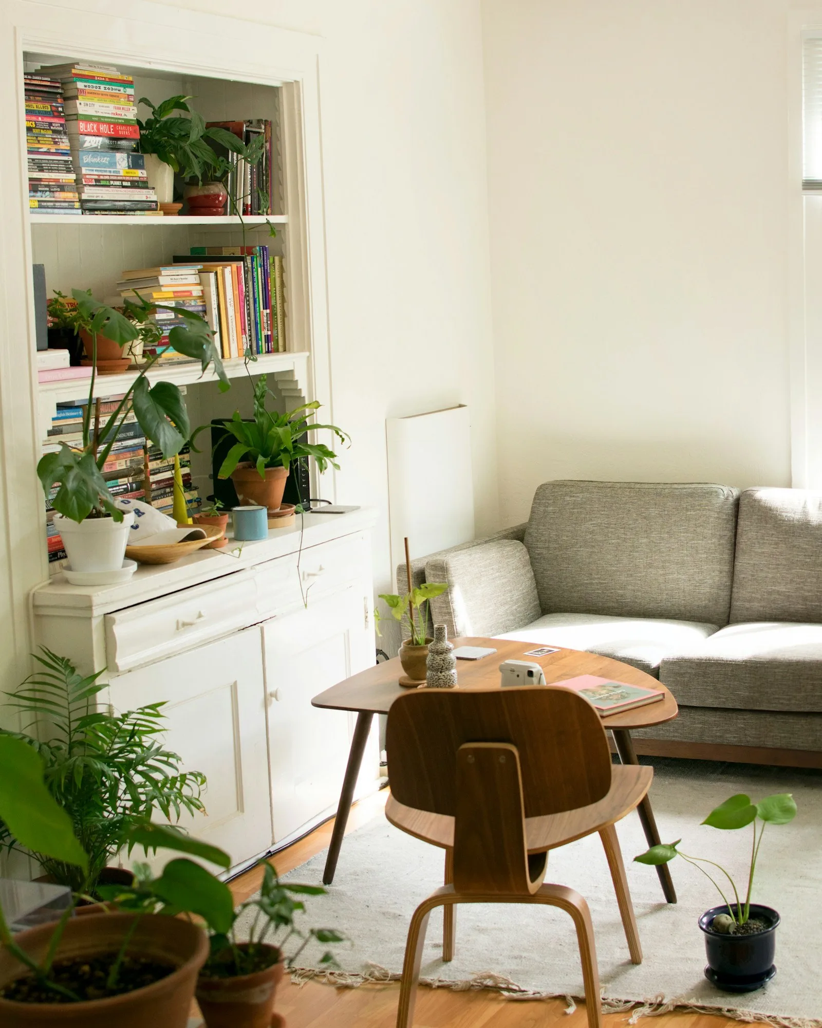 VIBGYOR INTERIORS & DEVELOPERS
