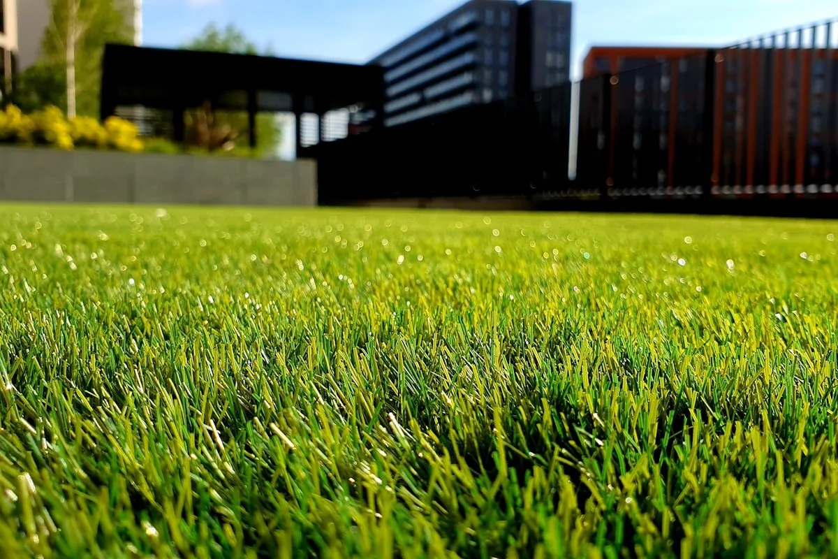 Landscaping & Outdoor Spaces